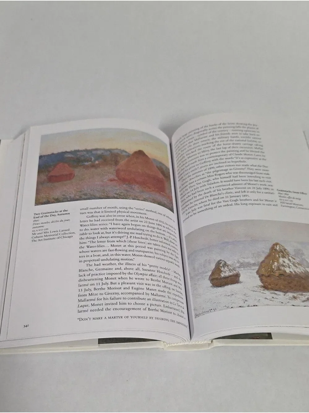 Monet - The Triumph Of Impressionism by Daniel Wildenstein